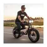 MTB Frame Fast Adult Electric ebike Fat Tire High Speed Motorcycle Electric Road Dirt Bike Super EU Warehouse 73