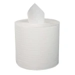 Multi-Function Soft Nonwoven Fabric Adult Oem Dry Wet Wipes in Canister