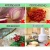 Import Multifunction Ginger Garlic Shredder Stainless Steel Hand Pressing Chopper Cut Onion Vegetable Tools Kitchen Tool from China