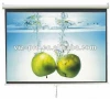 multifunction wall projection screen