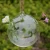 Import NEW 10cm round hanging glass air plant terrariums  decoration wedding from China