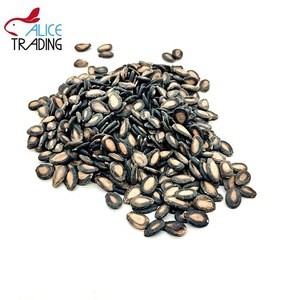 New Crop Black Water Melon Seed