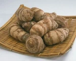 New Crop Fresh Taro for sale