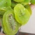Import New Crop Green Color Sweet Sliced Dried Kiwi from China