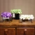 Import New design glass mirror vase for home decoration and wedding from China