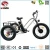 Import New hot 48V 500W fat tire cargo electric beach tricycle 3 wheel bike lcd display e-tricycle from China