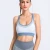 Import New Pattern Printed Workout Padded Sports Bra Fitness Yoga Wear Womens Gym Clothing Manufacturer from China