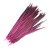 Import New Pretty Dyed Premium Ringneck Pheasant Tail Feathers Decoration from China