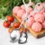 Import OEM Home Kitchen Diy Fish Meat Ball Tools S L 304 Stainless Steel Kitchen Gadgets 2020 Meatball Maker Spoon Meatball Mold from China
