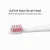 Import Oral hygiene high powered electric toothbrush from China
