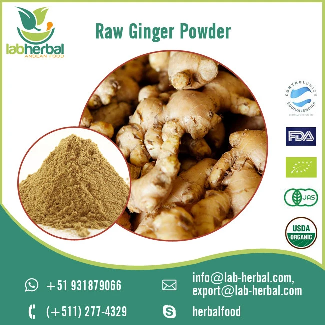 Organic Dried Ginger Powder Price