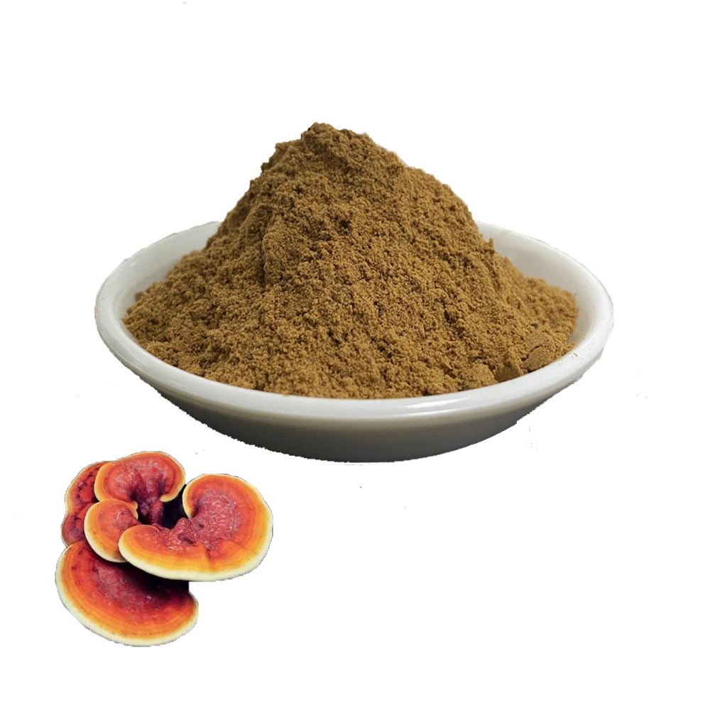 Organic reishi mushroom extract powder