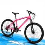 Outdoor Mountainbike High Carbon Steel Bicycle Fork Suspension Cycles for Sale