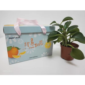 Paper Packaging Box And Paper Packaging Printing Manufacturer