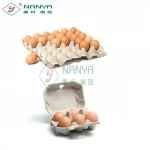 paper pulp molded pulp products molded fiber egg packaging making machine