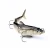 Import Peche Pesca Isca 16cm 32.8g 4 Segmented lure multi-joint fish lure segment fishing lures vissen senuelos from China