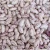 Import Peru Grown Fresh Pinto Beans Dry Robinson Fresh MOQ 50 LBS Quick Delivery from Austria