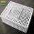 Import Plastic quail transport cages from China