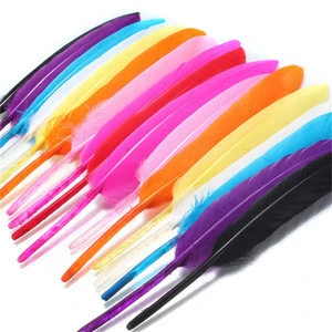 PM-038 4- 6 inches 10-17 cm colorful Goose feather