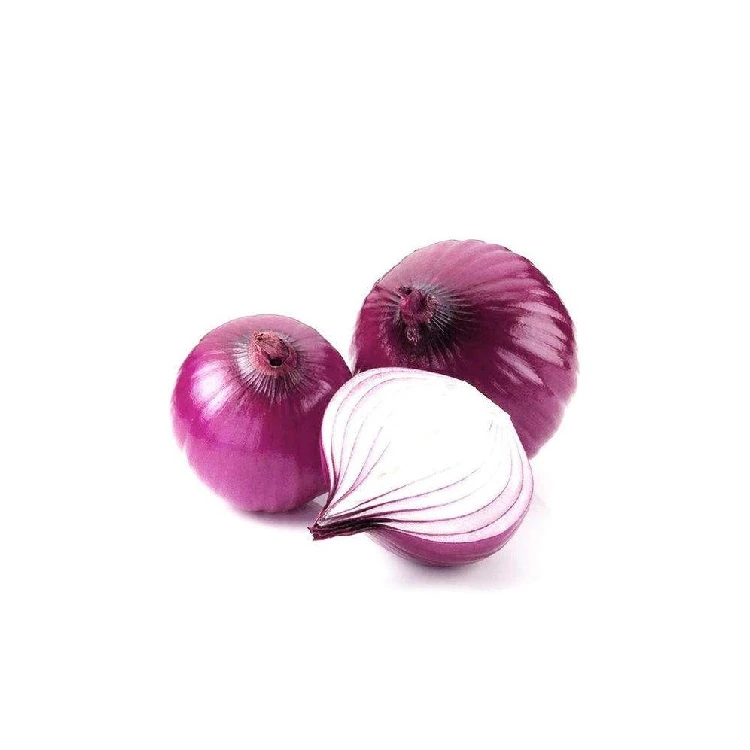 Pookin supply top grade red fresh onion