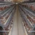 Import Poultry chicken layer cage/animal cage/large chicken cage from China