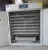 Import Poultry equipment 1232 eggs solar incubator/ chicken egg incubator hatching machine from China