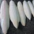 Import Premium Grade Dry Cuttle Fish Bone / Dried Washed Cuttle Fish Bone from Thailand