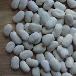 Premium Quality Large White Lima Beans