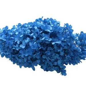 Preserved Hydrangea Flowers for Wedding for ChristmasDecoration