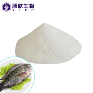 Price Pure Marine Collagen Peptide Fish Collagen Peptide Powder for Health Food & Energy drinks, Best selling products(new)