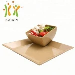 Professional Healthy And Environmental Carbon Fiber Plate