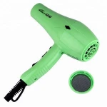 Professional Salon Design Hotel Bathroom Hair Dryer 2200W