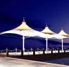 PTFE Stadium tensile membrane structure, membrane structure bleachers canopy tent,Special design carport sunshade membrane