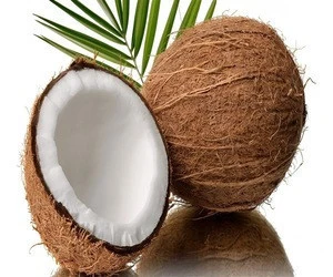 Quality Product Mature semi husked Coconut