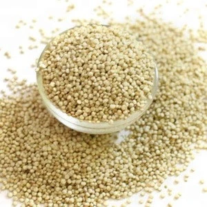 Quinoa / Quinoa Seeds