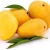 Import Raw mango wholesale fresh fruit mango from india from India