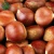 Import raw processing Chinese chestnuts for sale from China