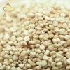 Raw White Quinoa Vegan And Gluten Free Certified Organic Quinoa