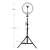 Import Ready to ship Tiktok video live broadcasting 10 inch led selfie ring light with tripod stand from China