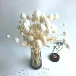 Real Natural Pristimera Long-term Home Decor Eternal Flower Fruit Bunch Windmill Fruit Bouquet Preserved Pine Worm