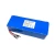 Rechargeable Ebike 48V 10Ah 15Ah Lithium 18650 Battery Pack for 750W 1000W Electric Motor
