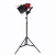 Import Red Head Light 800watts with Stand Photography Film Shooting Continuous Light from China