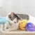 Import Rena Pet Soft Plush and Durable Designed Fuzzy Cuddly Interactive Play Cat Toy from China
