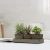 Import Rustic Style Wood Succulent Planter Square Pots w/ Tray from China