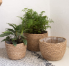 Seagrass Planter Basket Custom Plant Pot Indoor Outdoor  Flower Pots Cover Storage Basket Plant Containers for Home Decor