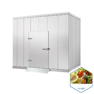 Selling mini 20ft container refrigerator freezer cold room for freezer fish
