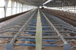 Separate Cow Stalls Galvanized Free Stall Animal Cage