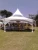 Import Sieco High Quality Waterproof Canopy Wedding Marquee Outdoor Event Tents Large from China