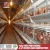 Import Silver star egg production project poultry farming chicken eggs laying cage from China