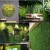 Import Simulation Moss Turf Simulation Scene Window Decoration Artificial Moss Green Plant Wall Pearl Cotton preserved Moss from China
